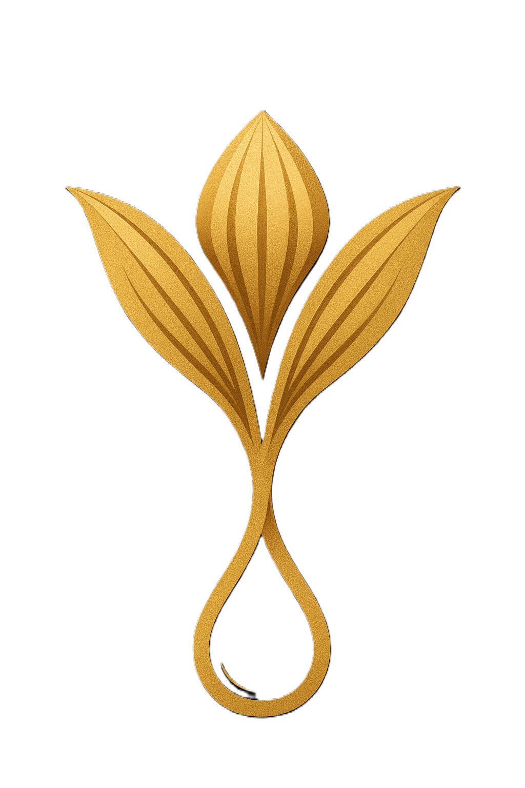 گل ماریا